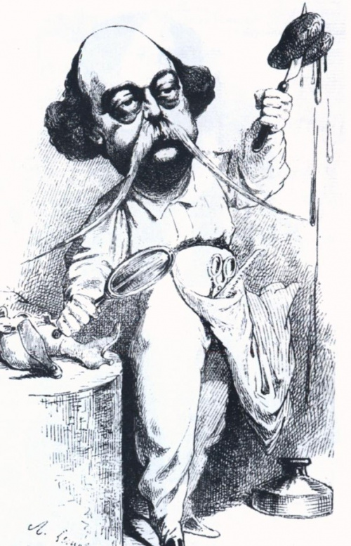 Густав Флобер препарирует мадам Бовари, карикатура.